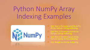 python numpy array indexing exles