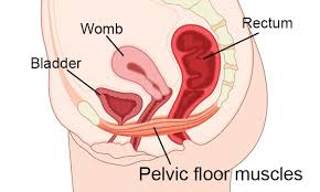what is pelvic floor disorder how can