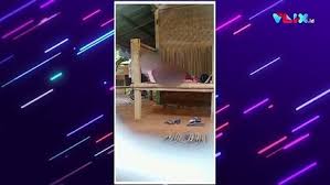 Viral tiktok couple another video #shorts. Pasangan Remaja Mesum Cuek Wik Wik Di Tempat Wisata Vlix Id