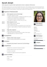 exemple de cv d aide soignante soignant