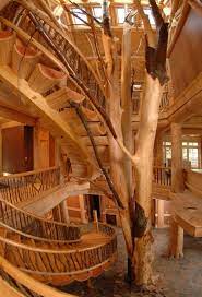 The tree's wood cells then form a spiral pattern that allows sap and. 6 Sculptural Tree Trunk Log Staircases To Spur Your Imagination Eastern White Pine