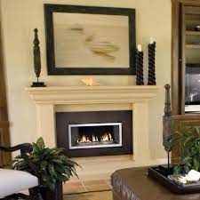 Napoleon Gas Fireplace Insert Gd130g