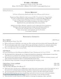 Sample Resume For Project Manager Thrifdecorblog Com