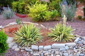 Drought Tolerant Landscaping In California