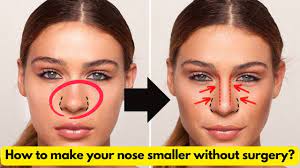 how to make your nose smaller without