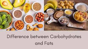 difference between carbohydrates and fats