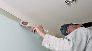 painting ceilings and walls fine