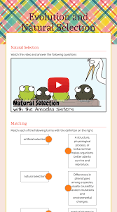 Set the background to any color, and see natural selection taking place. Evolution And Natural Selection Interactive Worksheet By Vanessa Furby Wizer Me