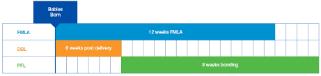 How Does Ny Paid Family Leave Work With Fmla And Dbl 3
