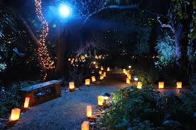 botanical gardens luminaria nights