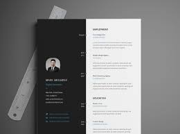 Free Download Resume Template