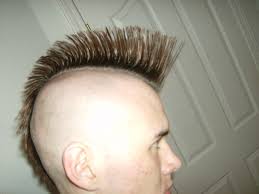 The mohawk haircut had its roots in a haircut that the mohawk tribe called a scalp lock, because it made it more difficult for an the modern popularity of the mohawk stems from its readoption as a h. Mohawk Hairstyle Wikipedia