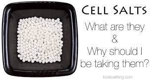 「Cell Salts」的圖片搜尋結果