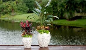 Pot Fillers To Use In Large Planters