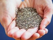What are the negative effects of chia seeds?
