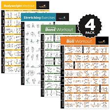 4 Pack Laminated Home Gym Exercise Posters Bodyweight