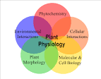 physiological