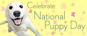 Maybe you would like to learn more about one of these? Celebrate National Puppy Day