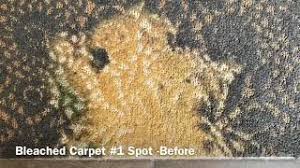 how to remove bleach stain on carpet by