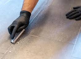 carpet tile cleaning in ta fl 89