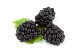 Blackberries are an edible fruit, commonly found in the uk from june until november, and they're often seen growing in forests and technically, they are an 'aggregate fruit' rather than a berry. Blackberry Fruit Facts And Health Benefits Spa Industry Association