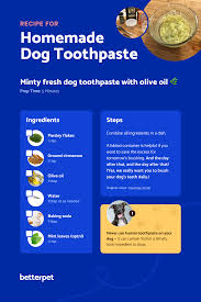 homemade dog toothpaste recipes