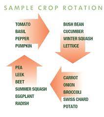 Four Bed Crop Rotation For Small