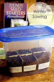 winter sowing starting your plants
