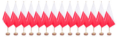 Znalezione obrazy dla zapytania flaga polski gify
