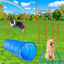 the best dog agility equipment of 2024