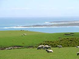 Slope point is the most southerly point of new zealand's south island. Slope Point Catlins New Zealand