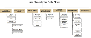 74 Actual Creative Department Organization Chart