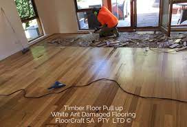timber flooring services adelaide