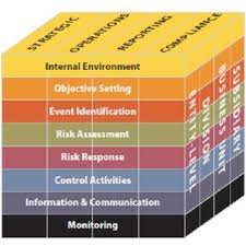 pdf enterprise risk management