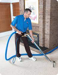 carpet cleaning pet stains house