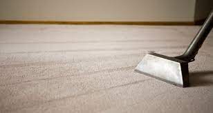 that guy carpet cleaning carpet