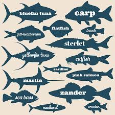 ocean fish vector silhouettes with