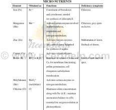 Mineral Nutrition Ncert Notes For Class 11 Download In Pdf