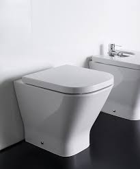 Roca The Gap Back To Wall White Wc Pan