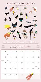 Birds Of The World By Pop Chart Lab Wall Calendar 2020