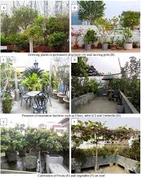 Rooftop Gardens In Dhaka Desh