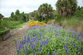 Florida Botanical Gardens Ideas