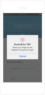 You have had too many unsuccessful attempts to login. Touch Login Service