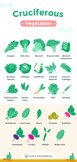 Ultimate List Of Fruits And Vegetables