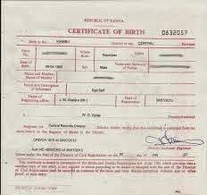 103 Best Birth Certificate Images Baby Announcements Birth