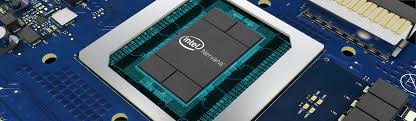 Image result for NERVANA CHIPS