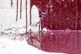 remove paint from concrete floors
