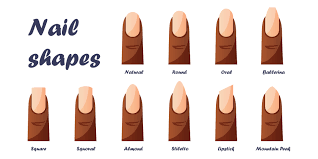 set of nail shapes oval square