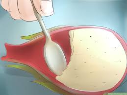 It is no longer accessible due to the viral pandemic mode being disabled. How To Plant Dragon Fruit 12 Steps With Pictures Wikihow