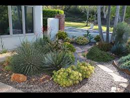 Laura Eubanks Succulent Garden Design
